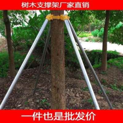 新品架绿化木区树景支撑固定器抱箍马林边花坛园路固树三脚架防倒