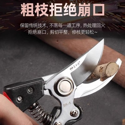 剪枝剪刀园林花艺修剪树枝剪刀果树剪刀加强粗大花剪园艺剪子工具