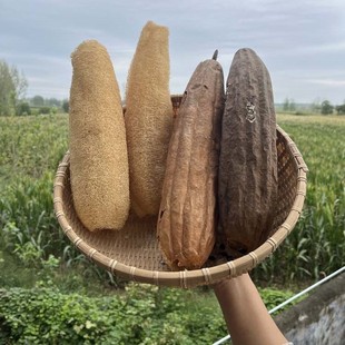 丝瓜络洗碗农家带皮老丝瓜天然干丝瓜瓤厨房清洁百洁布刷锅不