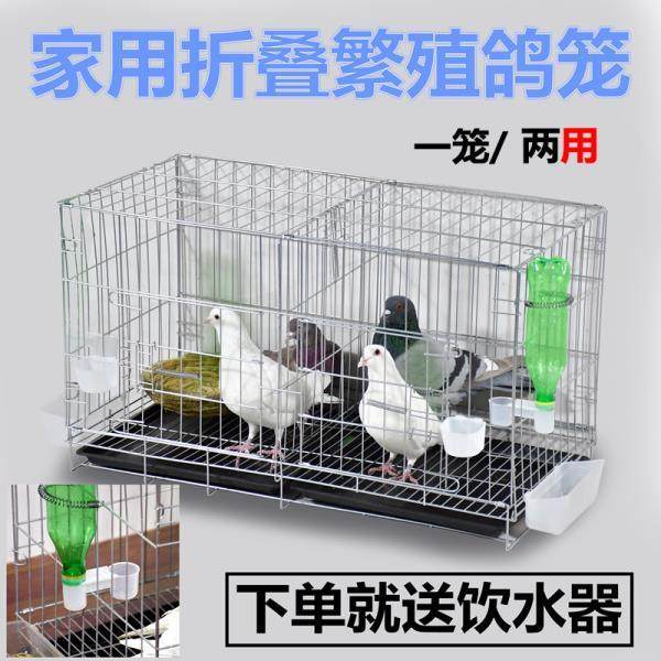 包邮加粗鸽子笼子鸽子用品用具大号鸡笼家用养殖笼子,宠物/宠物食品及用品,宠物鸡/鸭/鸽笼,淘宝优惠券,粉丝福利购,淘宝优惠卷