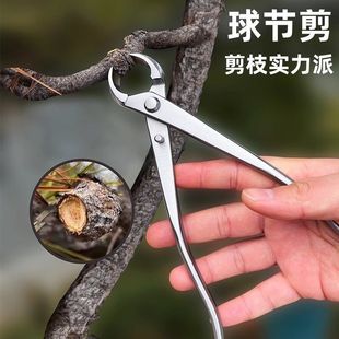 ぃ园林家用不锈钢球节剪斜口剪盆栽盆景专用工具修剪造型工具钳枝