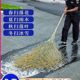 大扫把工厂车间环卫工人户外扫帚竹子马路庭院家用工