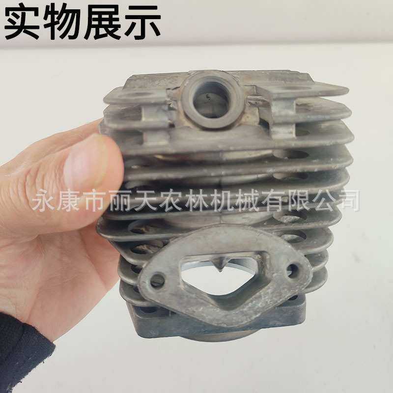 5200/58油锯气缸活塞环滚针总成缸体套装伐木锯汽油链锯配件,鲜花速递/花卉仿真/绿植园艺,其它园艺用品,淘宝优惠券,粉丝福利购,淘宝优惠卷