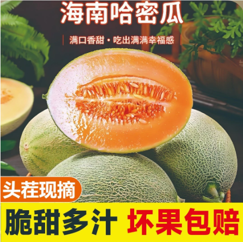 【下单立减50】正宗海南海沙地哈密瓜新鲜采摘应季水果甜瓜产地,水产肉类/新鲜蔬果/熟食,哈密瓜,淘宝优惠券,粉丝福利购,淘宝优惠卷