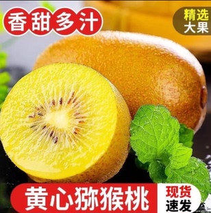 【下单立减50】金果黄心猕猴桃国产黄金奇异果产地直发新鲜水果