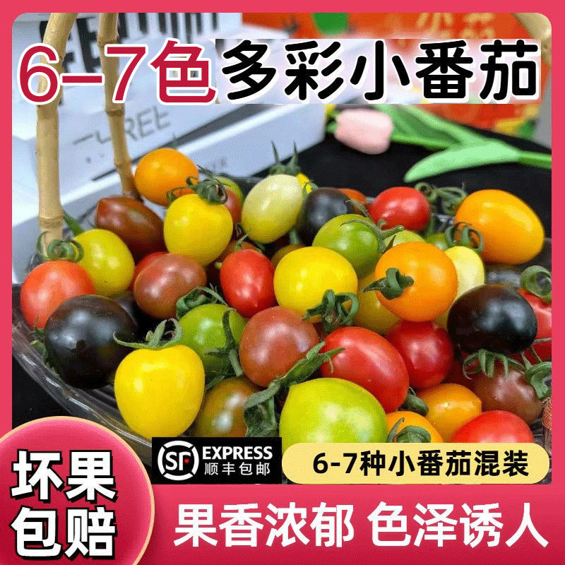 【下单立减50】新鲜彩色小番茄圣女果混合装七彩七色圣女果酸甜,水产肉类/新鲜蔬果/熟食,番茄,淘宝优惠券,粉丝福利购,淘宝优惠卷