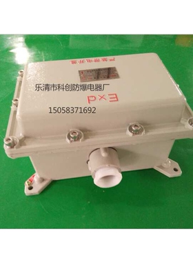 200*300*150防爆接线箱(隔爆型) 防爆端子箱 BH/3-20-F2
