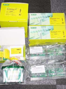 伯勒biorad垂直蛋白电泳仪 Mini-Protean Tetra 1658001