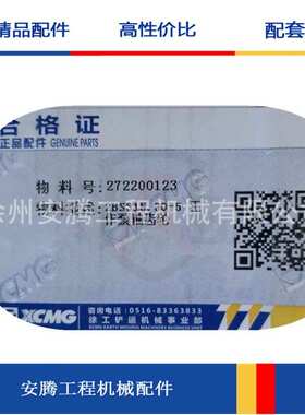 ZL50GN工作泵轴齿轮272200123 2BS315.30-5