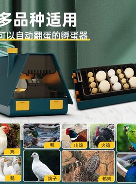 包邮家用孵蛋器小型小房子造型自动翻蛋可孵芦丁鸡鹦鹉等带照蛋功