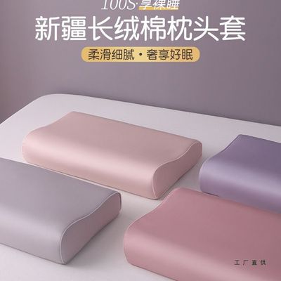 100S长绒棉乳胶枕套一对家用40x60棉质枕头套儿童30x50枕芯内胆套