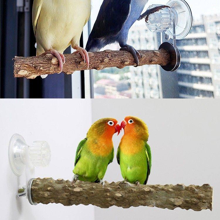 花椒站棍鹦鹉吸盘站架子空中杠站磨爪玄凤虎皮专用鸟用玻璃站台,宠物/宠物食品及用品,鸟玩具,淘宝优惠券,粉丝福利购,淘宝优惠卷