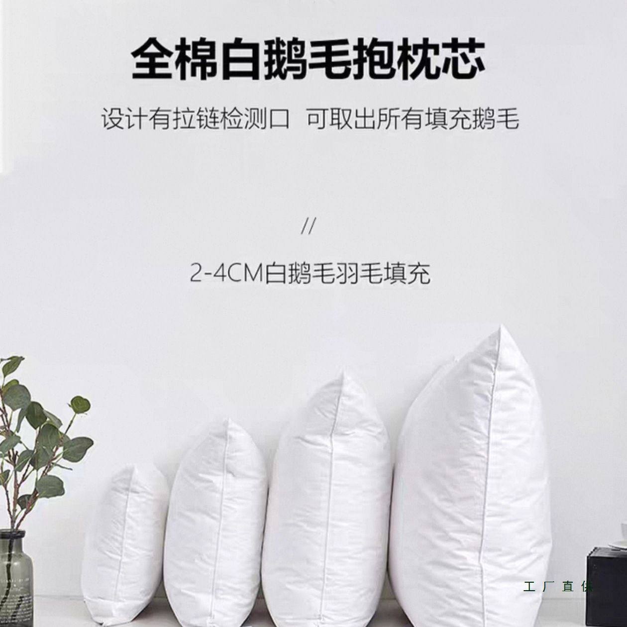 鹅毛羽绒抱枕芯羽毛抱枕枕芯睡枕坐垫靠垫补正方形其他化纤,床上用品,枕头/枕芯,淘宝优惠券,粉丝福利购,淘宝优惠卷