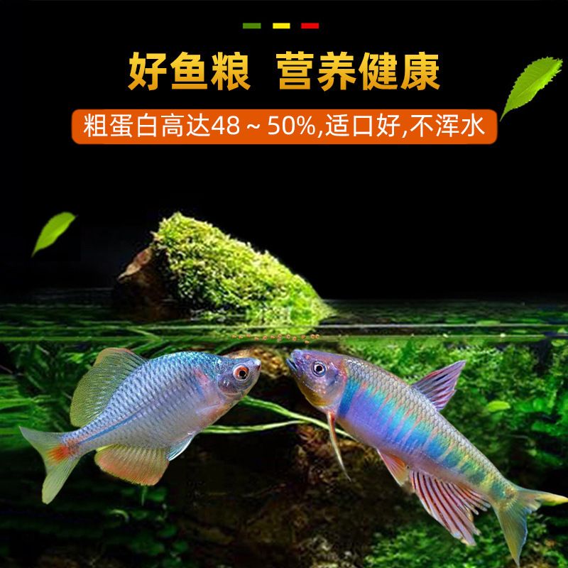 高蛋白原生鱼饲料鳑鲏斗鱼虾虎长宽鳍鱲小粑上浮下沉型颗粒鱼