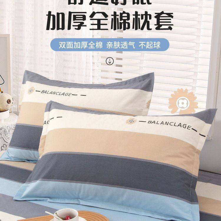 2025新款纯棉枕套一对装40x60枕头套单个100全棉整头套48cmx74cm