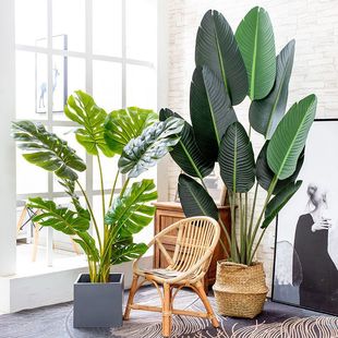 大型北欧仿真植物天堂鸟盆栽室内落地绿植装饰盆景假旅人蕉摆件树