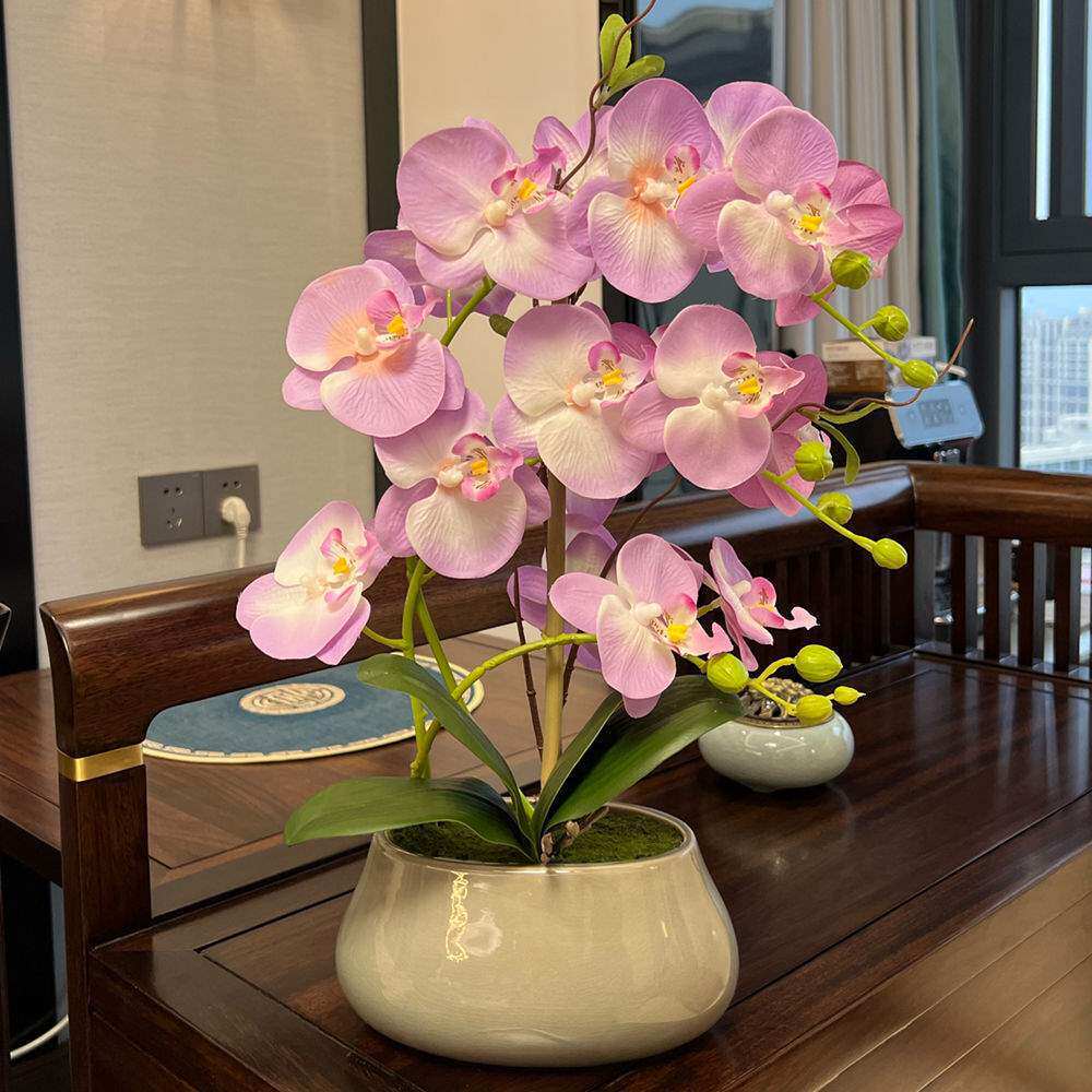 仿真花蝴蝶兰仿真兰花盆栽新款假花套装客厅电视柜中式陶瓷盆摆件