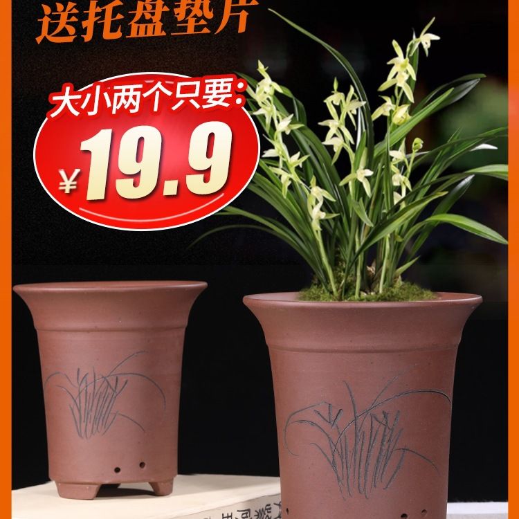 宜兴紫砂花盆吊兰花盆兰花花盆盆君子兰陶瓷花盆包邮