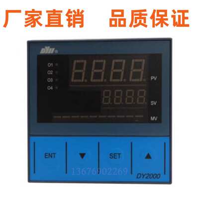 东辉DY22GT16P DY21E1126P4M DY26AI16P DY26P11-P 数显控制仪