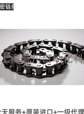 钢碳CCB-2T126分-B进口-12121链条Y链条Y台湾不锈钢链条B3T