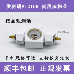 原位枝晶观测池/原位电池观测模具电化学池/swagelok枝晶生长观测