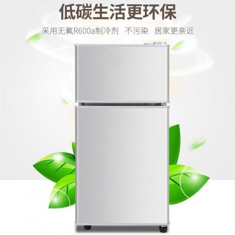 能效冷冻小型二人电冰箱小冰箱迷你家用租房用宿舍冷藏