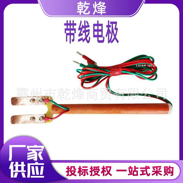 电力施工工具带线电极绝缘电阻表测试电极板树脂管分流叉电极板