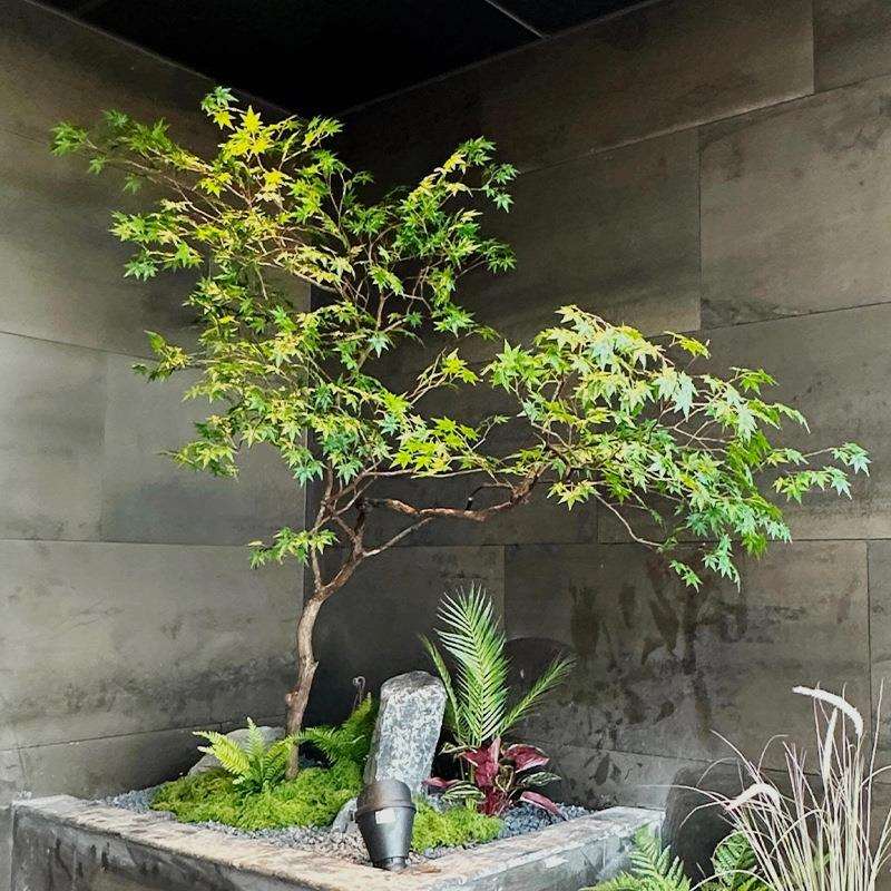 仿真绿枫树青枫树枯山水室内茶室橱窗景观假树摆件绿植装饰造景