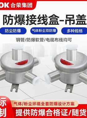 防爆接线盒M25*15四通/吊盖6分接线盒316L不锈钢分线盒圆形IIIC级