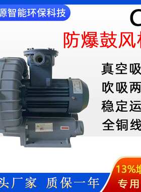 2NB 510 H16防爆高压风机1500w 输送气体漩涡风机旋涡式气泵