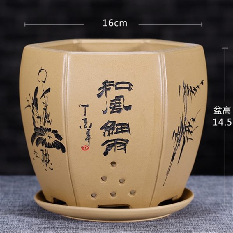 六段盆多肉花盆泥君子兰花盆兰花盆D盆矮种兰花精品紫砂紫砂花盆