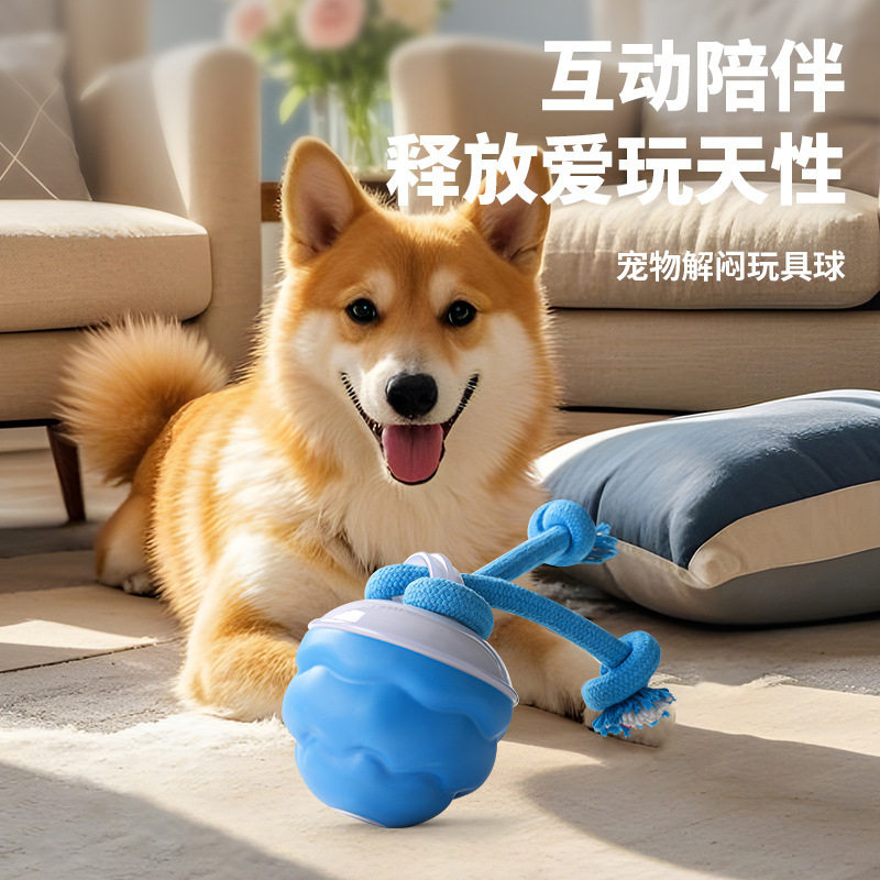 电动宠物塑料玩具球滚动球充电式狗狗玩具耐咬互动逗狗球磨牙