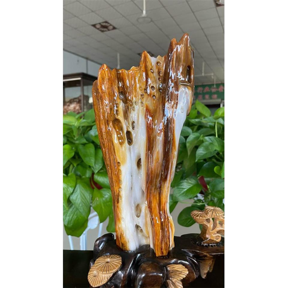 缅甸树化玉奇石家居装饰品观赏石木化玉风水石头摆件日常