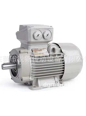 Rotor电动机荷兰原装 5RN90L  6RN100L铸铁铝壳IE1 IE2 IE3马达