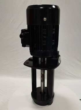 东莞 DYL2V18浸入式不锈钢水泵机床液下泵DYPN德洋牌潜水泵