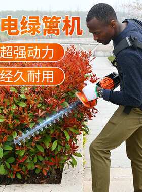 奥玛克AMK6010E电动绿篱机充电式锂电修剪机园林工具双刃修枝机b