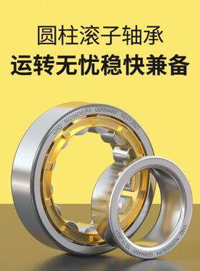 10364J10438510 2/4810 40U 子 10滚6轴承N51010 10MN4 圆柱E 3