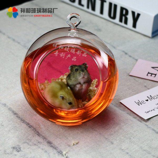 仓鼠冰窝降温散热透明双层注水玻璃球养鼠器养花吊椅水培花瓶摆件,家居饰品,花瓶,淘宝优惠券,粉丝福利购,淘宝优惠卷