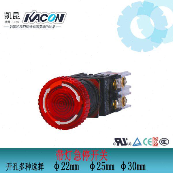 22带灯急停开关R旋转K开关按钮开关87带灯进口-凯昆复位紧急停止