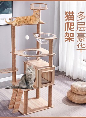 猫爬架猫窝猫树一体猫抓架实木跳台小户型太空舱超大号猫爬柱猫咪