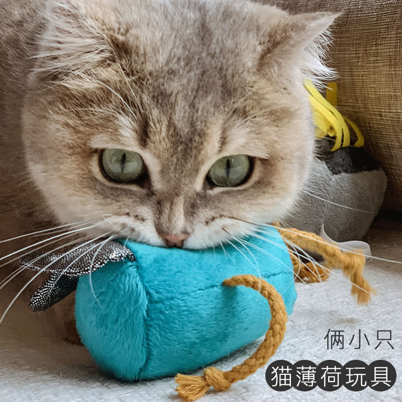 萌货食堂 俩小只宠物猫咪用品 发声毛绒玩具 结绳毛绒玩具 猫薄荷