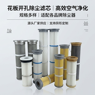 工业除尘滤芯过滤粉尘 花板孔替代布袋 除尘注胶滤筒125 133 162