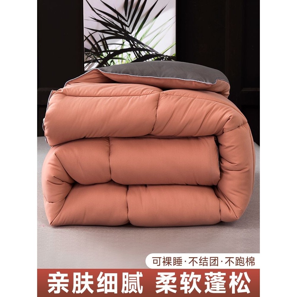 被子冬被加厚保暖春秋被冬季宿舍单人学生棉被芯冬天被褥太空调被