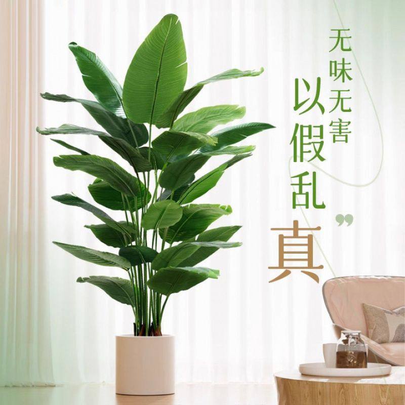 仿真绿植天堂鸟植物轻奢室内大型仿生盆栽摆件客厅装饰落地假花树,家居饰品,仿真植物盆景,淘宝优惠券,粉丝福利购,淘宝优惠卷