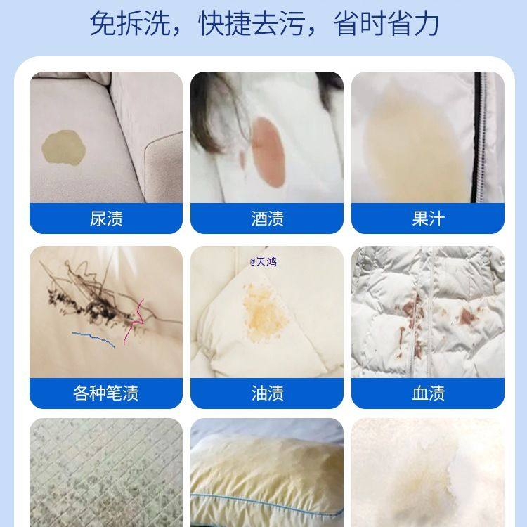 布艺沙发清洁剂科技布免水洗地毯清洗床垫墙壁布干洗免洗