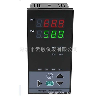 022 2323 2H2L双回路数显控制仪16080双回路 D823