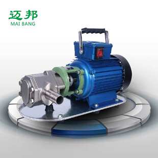 WCB齿轮油泵自吸抽油泵220v手提高粘度液压油泵机油煤柴油齿轮泵