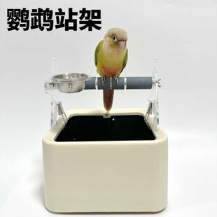 鹦鹉垃圾桶站架鹦鹉站架鹦鹉站架垃圾桶鹦鹉定点训练