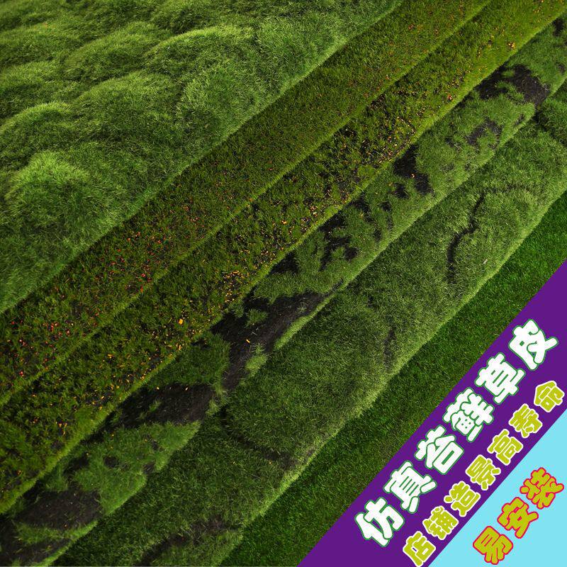 苔藓草坪永生绿色人造假苔藓背景墙装饰青苔植物墙微景观草皮