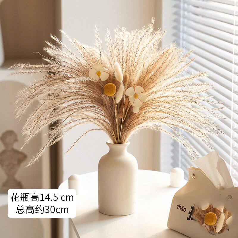 天然风干植物兔尾草芦苇干花花束高级感真花居家玄关客厅摆设花瓶